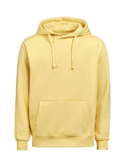 Hoodie Regular Fit